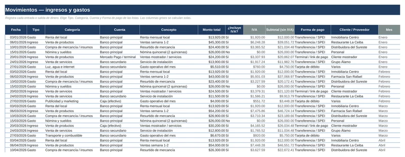 Control Financiero Pyme: Movimientos: ingresos y gastos